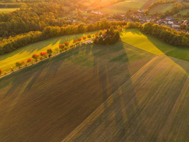 Dron – fotografie č. 5, autor Jiří Polehla