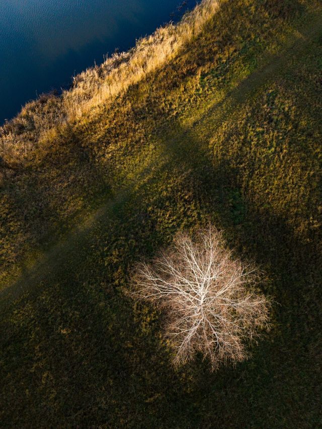 Dron – fotografie č. 6, autor Jiří Polehla